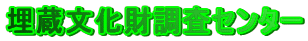 Z^[