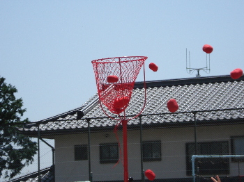 pict0001.jpg