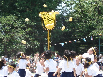 pict0002.jpg