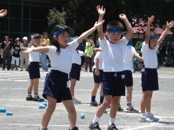 pict0003.jpg