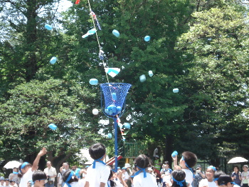 pict0004.jpg