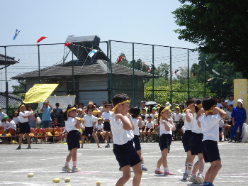 pict0005.jpg