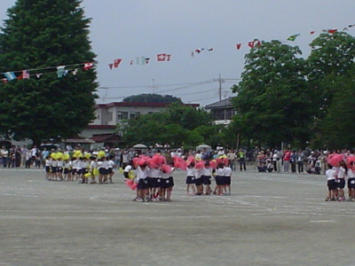 pict0001.jpg