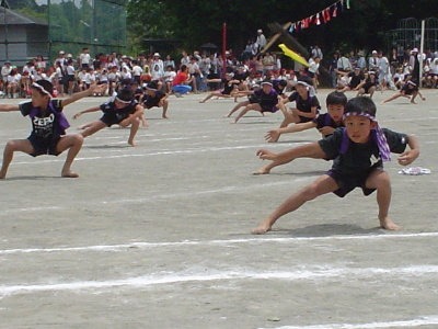 pict0005.jpg