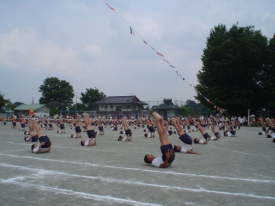 pict0007.jpg