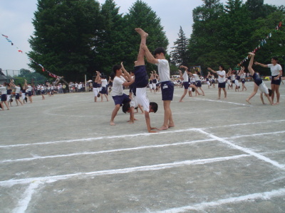 pict0008.jpg