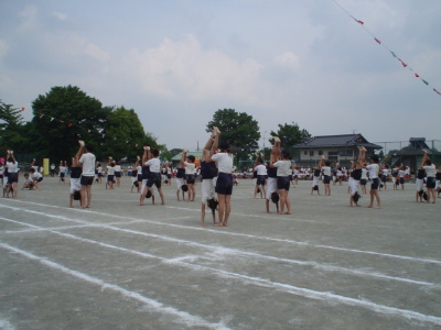 pict0009.jpg