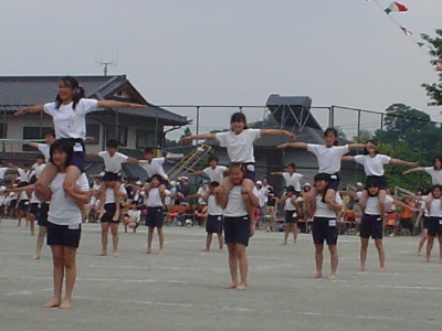 pict0010.jpg