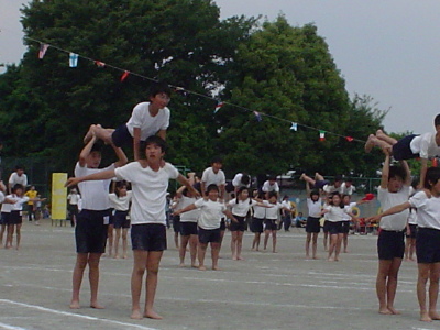 pict0013.jpg