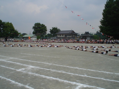 pict0018.jpg