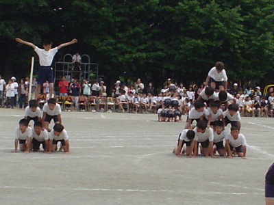 pict0020.jpg