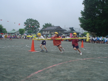 pict0002.jpg