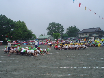 pict0005.jpg