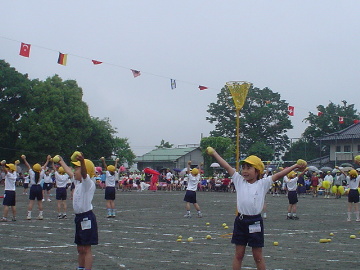 pict0007.jpg