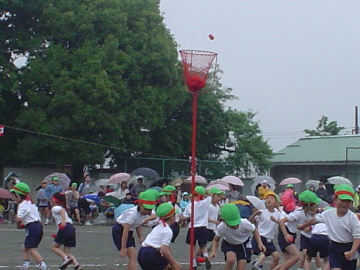 pict0009.jpg
