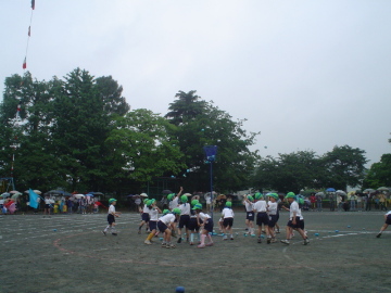 pict0011.jpg