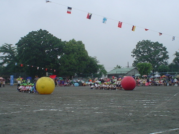 pict0013.jpg