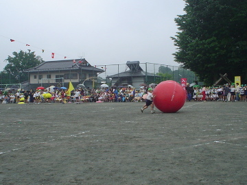 pict0015.jpg