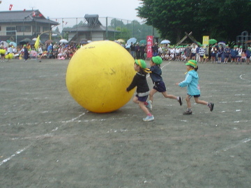 pict0016.jpg