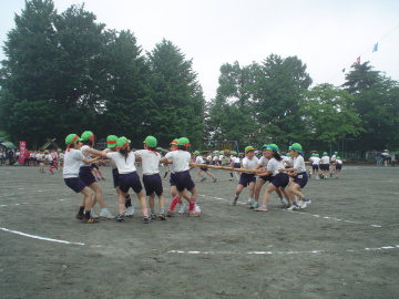 pict0019.jpg