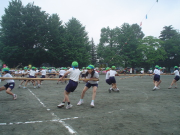 pict0021.jpg