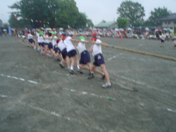 pict0025.jpg