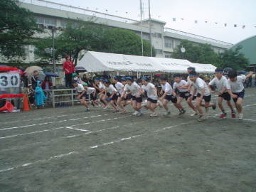 pict0026.jpg