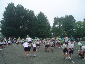pict0028.jpg