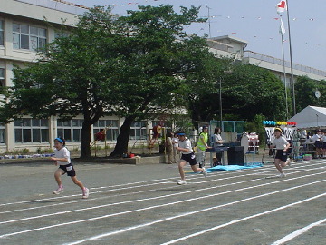 pict0015.jpg