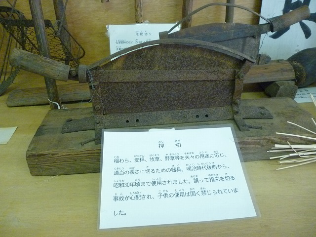 P10105991.jpg