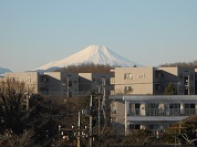 新年富士山
