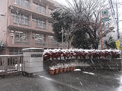 雪景色