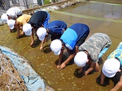 田植え１