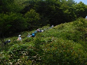 登山 林間学校