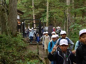 ハイキング 修学旅行
