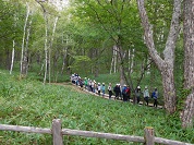 ハイキング 修学旅行