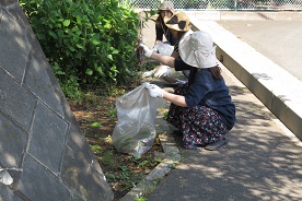 除草・清掃作業 除草・清掃作業